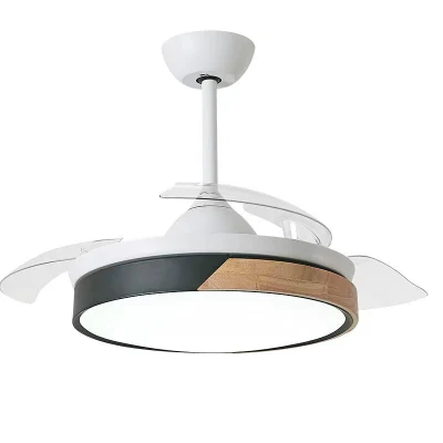 Nuovo ventilatore da soffitto a LED bianco decorativo con lama invisibile decorativa di lusso con telecomando